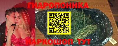 стаф Чебоксары