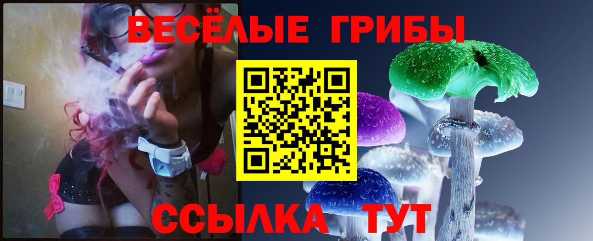 сколько стоит  Вход с VPN  Будённовск  Псилоцибиновые грибы Psilocybe 